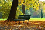 OCTOBER PARKS AND GARDENS MAINTENANCE TASKS